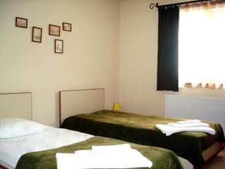 Гостевой дом Pension Luiza Брашов-7